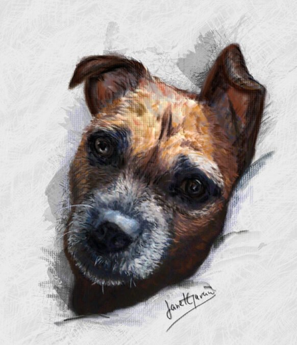 Pastel Portrait – Dog